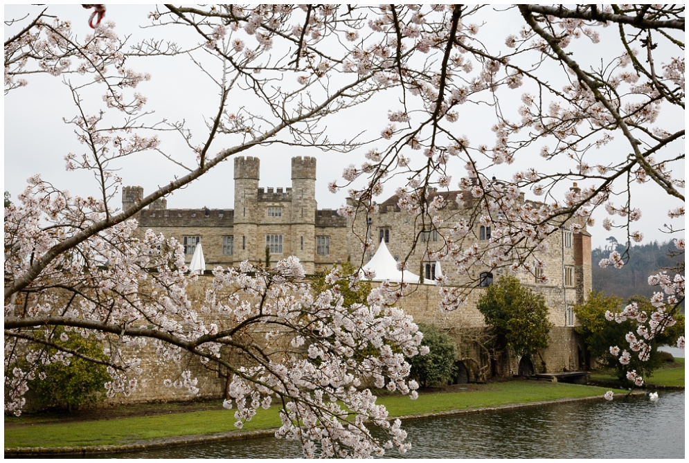 Leeds Castle blossom trees and the moat